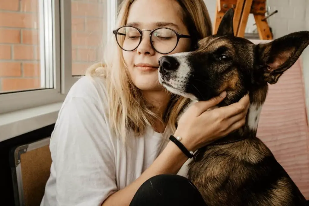 Dogs Helping Recovery 